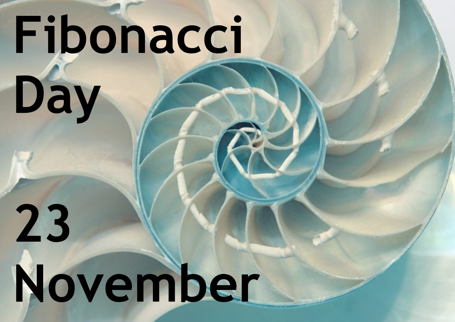 Fibonacci Day Maths Society