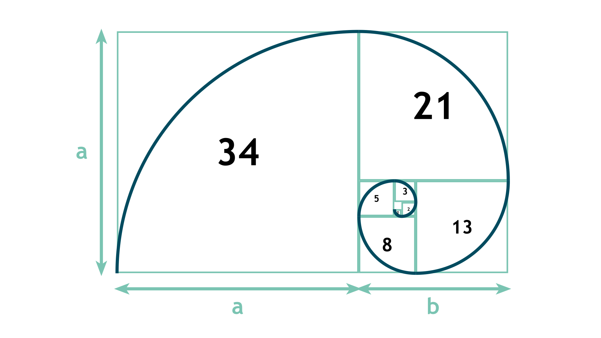 The Fibonacci Sequence – Maths Society